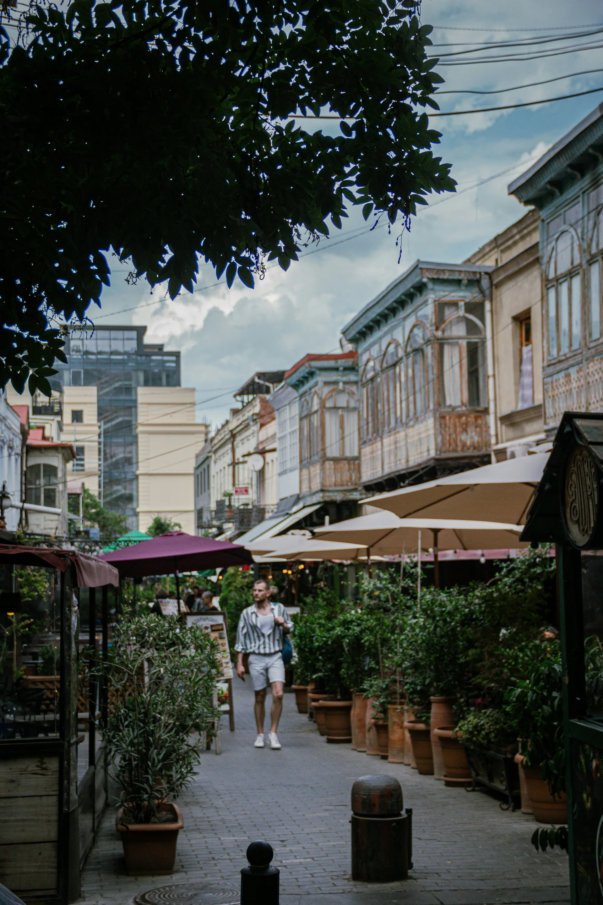 Cozy street in Vera neighborhood, Tbilisi